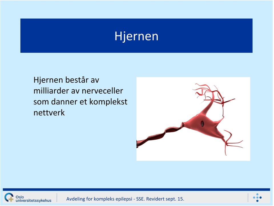 av nerveceller som