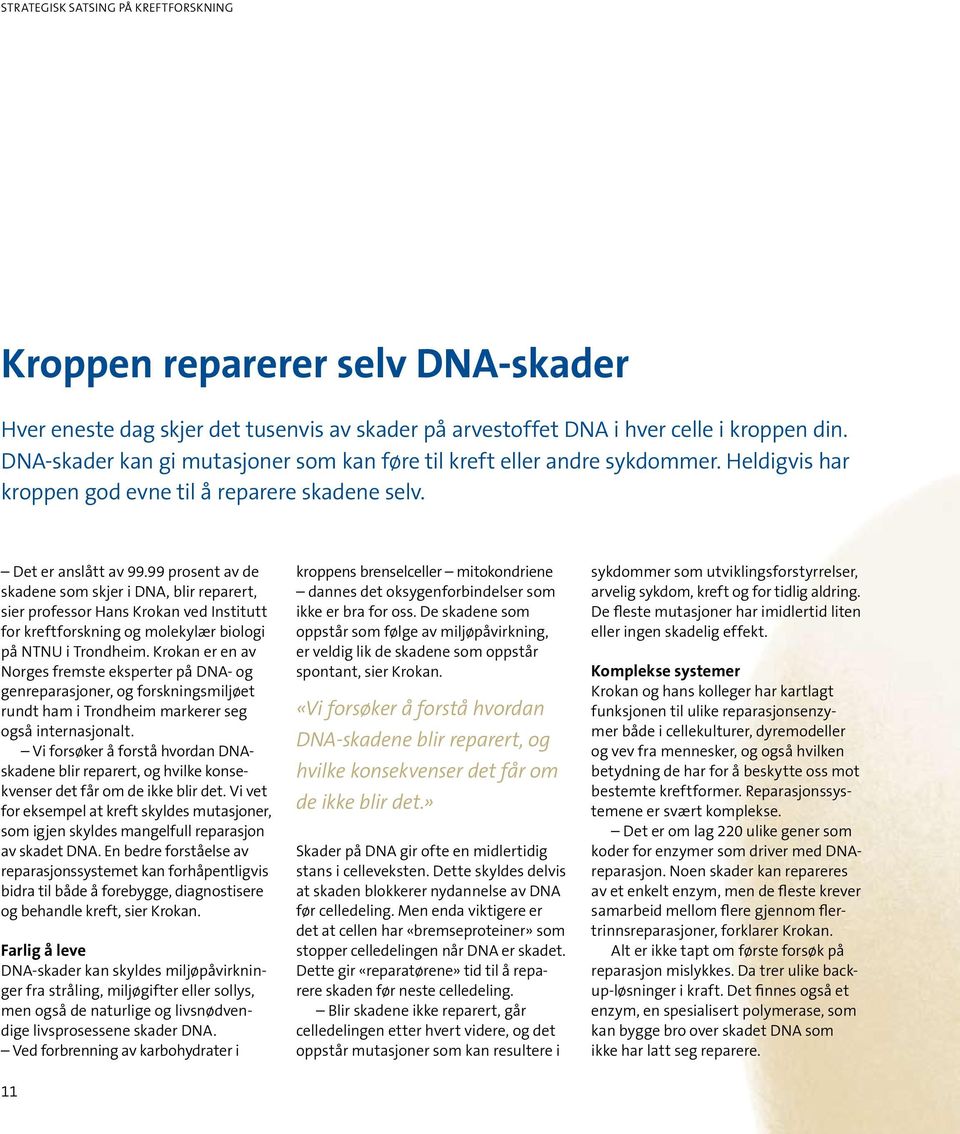 99 prosent av de skadene som skjer i DNA, blir reparert, sier professor Hans Krokan ved Institutt for kreftforskning og molekylær biologi på NTNU i Trondheim.