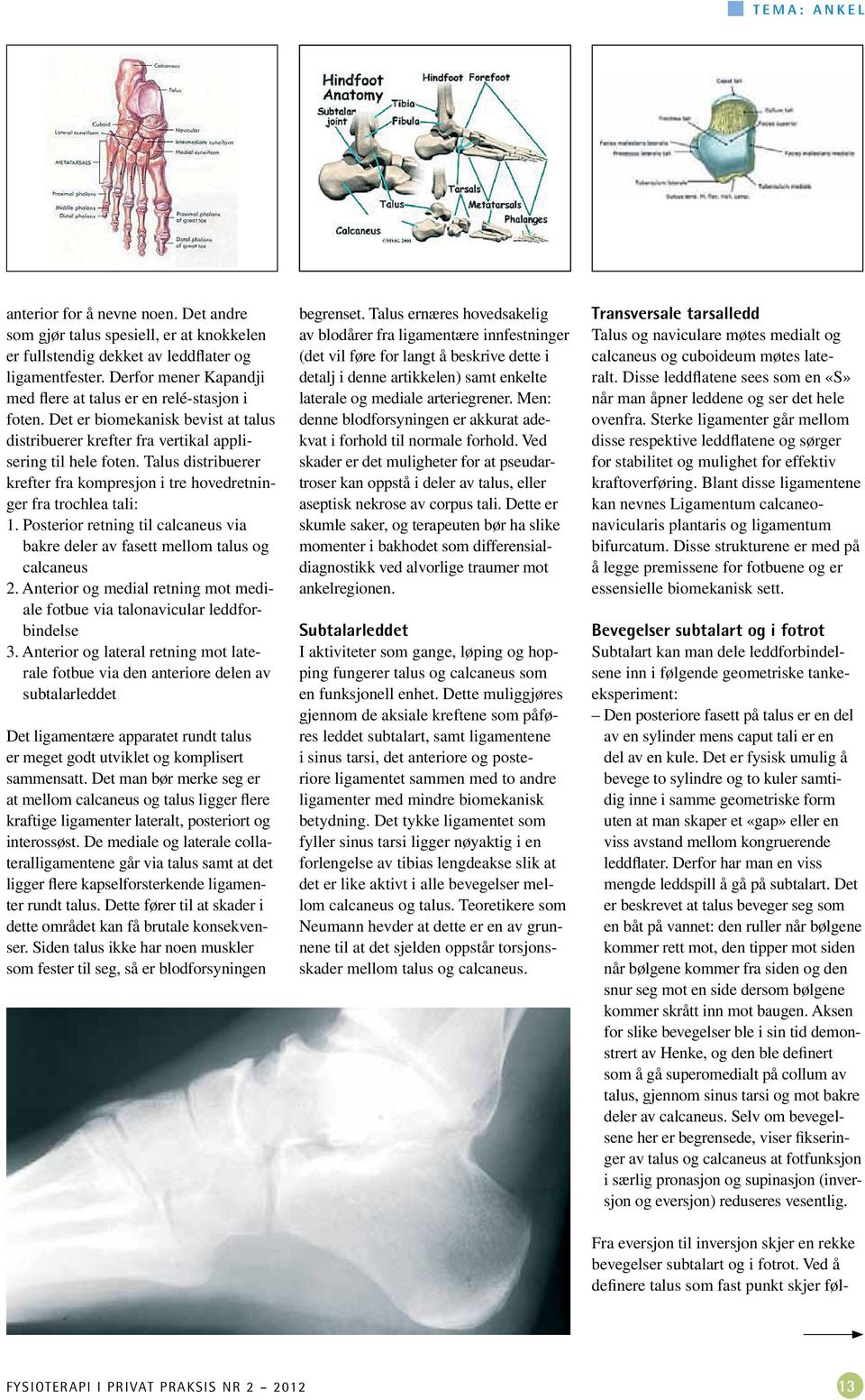 Talus distribuerer krefter fra kompresjon i tre hovedretninger fra trochlea tali: 1. Posterior retning til calcaneus via bakre deler av fasett mellom talus og calcaneus 2.