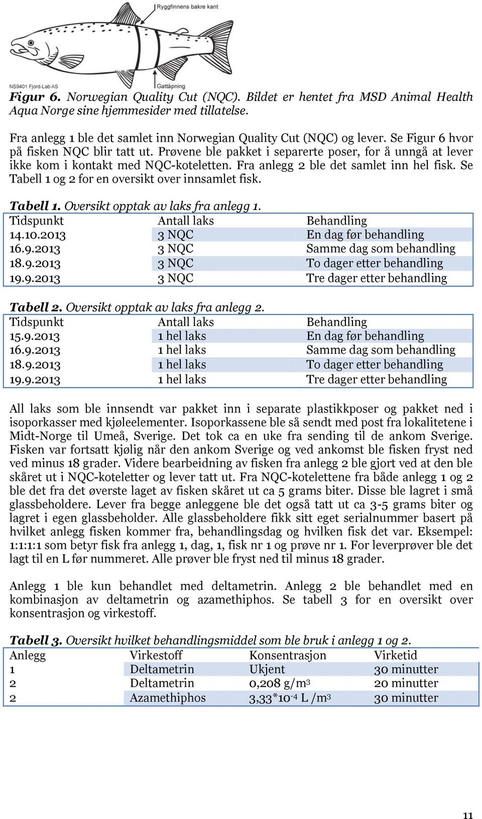 Se Tabell 1 og 2 for en oversikt over innsamlet fisk. Tabell 1. Oversikt opptak av laks fra anlegg 1. Tidspunkt Antall laks Behandling 14.10.2013 3 NQC En dag før behandling 16.9.