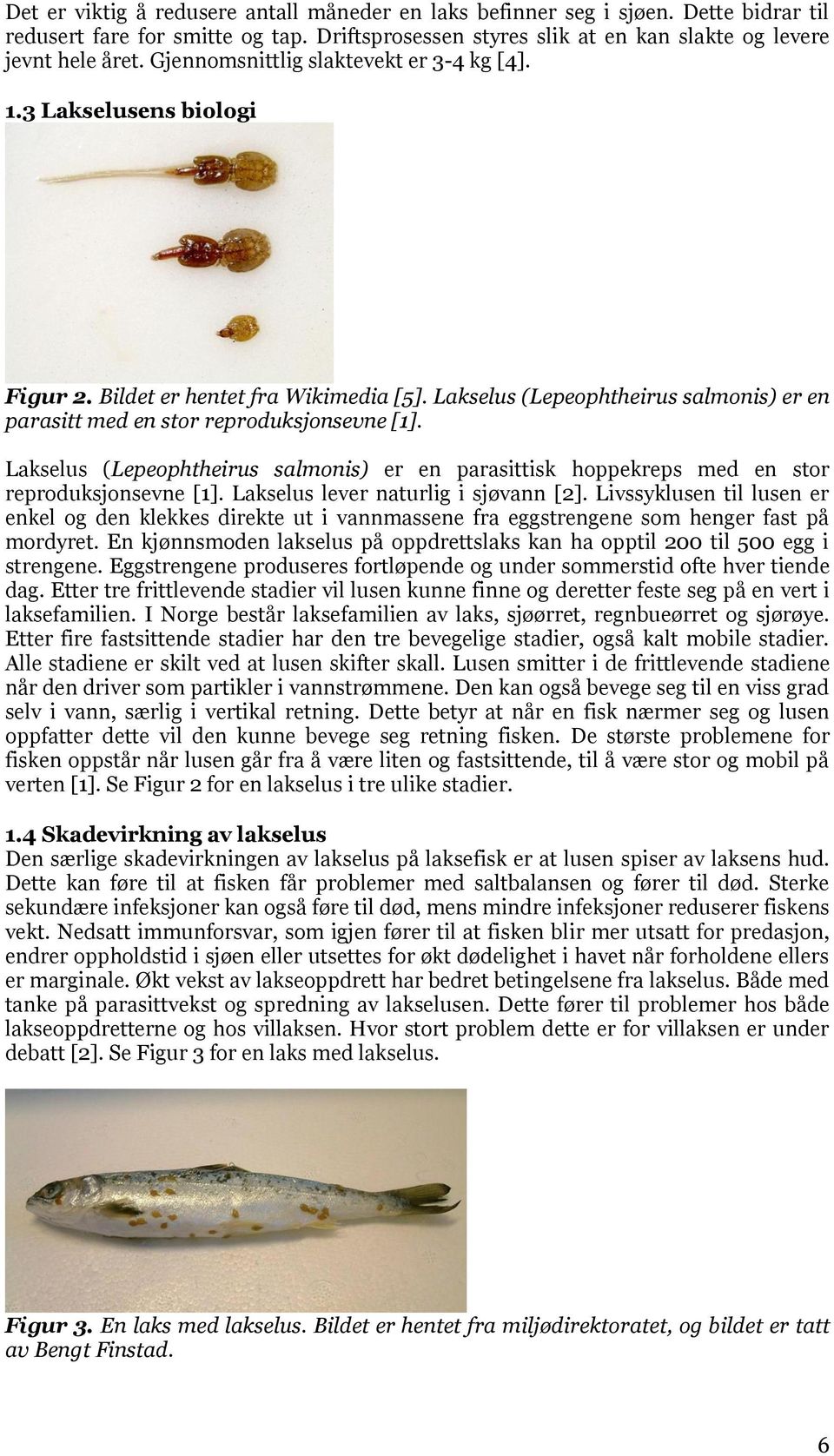 Lakselus (Lepeophtheirus salmonis) er en parasittisk hoppekreps med en stor reproduksjonsevne [1]. Lakselus lever naturlig i sjøvann [2].