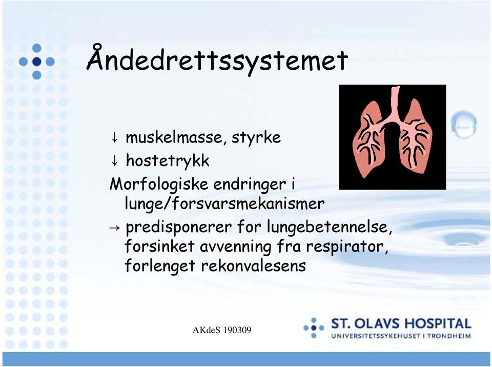 lunge/forsvarsmekanismer predisponerer for