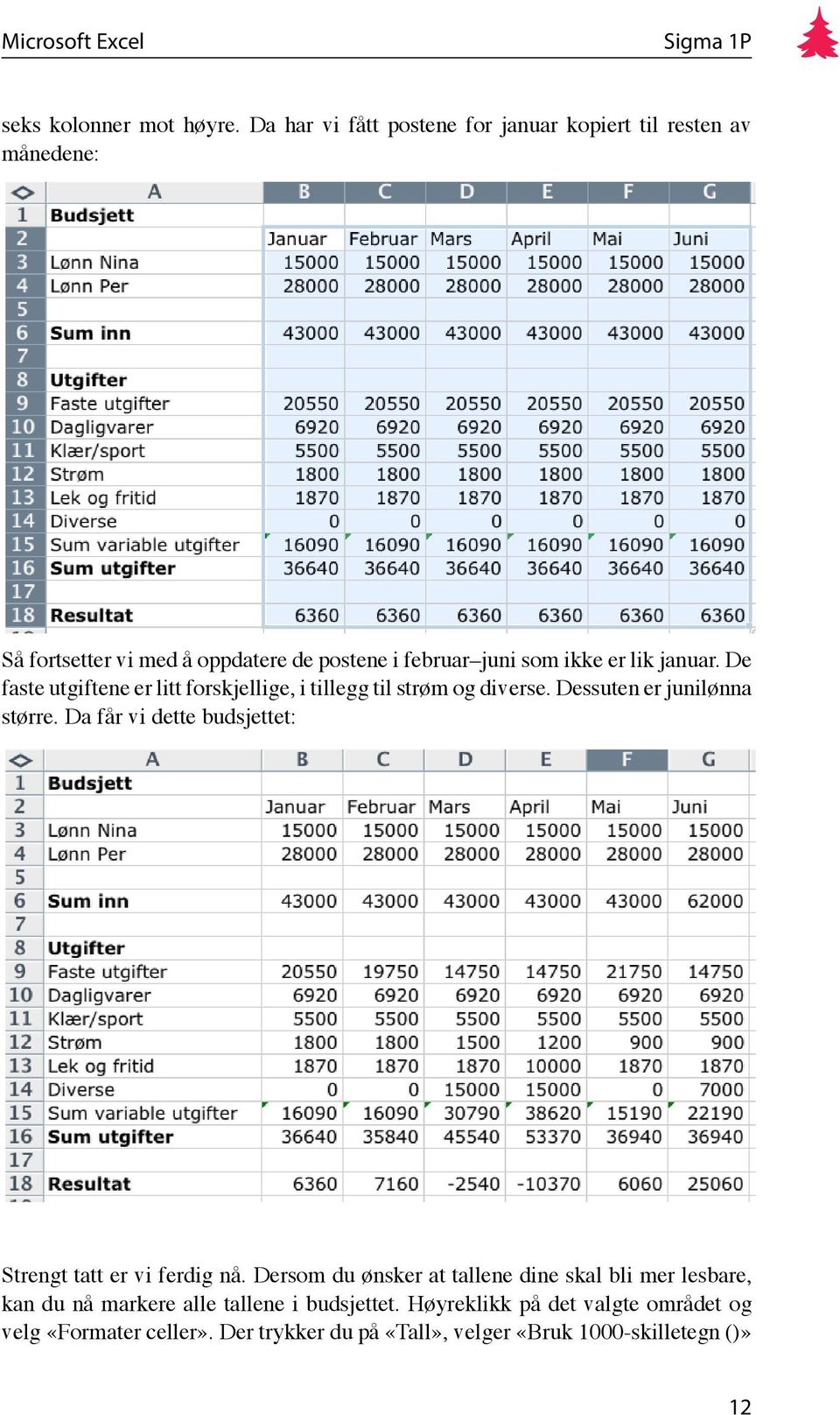 lik januar. De faste utgiftene er litt forskjellige, i tillegg til strøm og diverse. Dessuten er junilønna større.