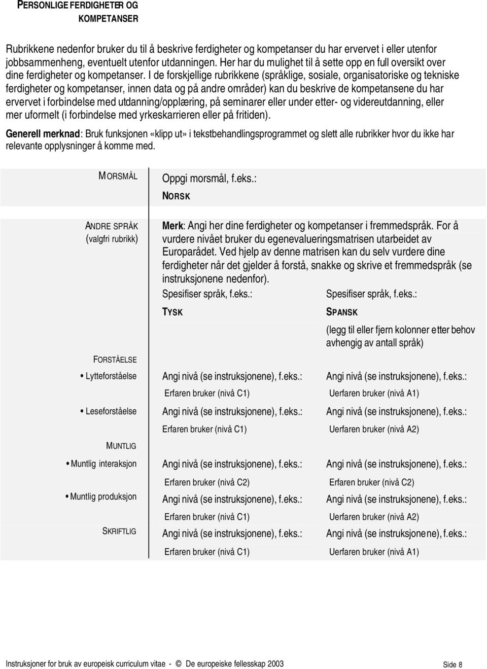 I de forskjellige rubrikkene (språklige, sosiale, organisatoriske og tekniske ferdigheter og kompetanser, innen data og på andre områder) kan du beskrive de kompetansene du har ervervet i forbindelse