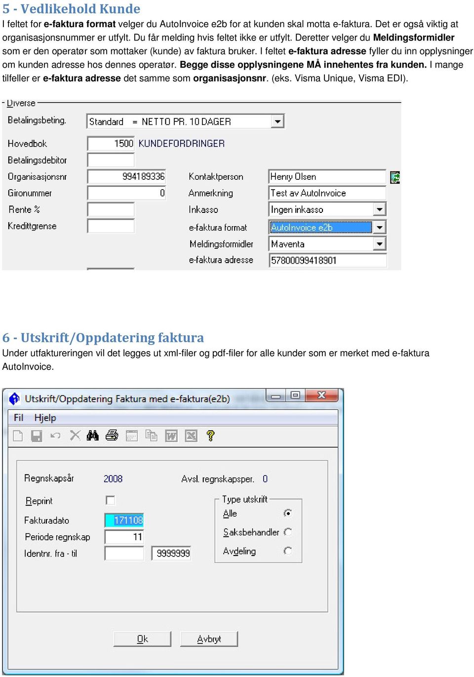 I feltet e-faktura adresse fyller du inn opplysninger om kunden adresse hos dennes operatør. Begge disse opplysningene MÅ innehentes fra kunden.