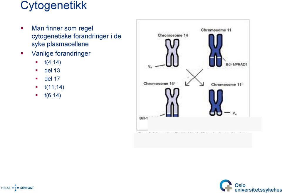 syke plasmacellene Vanlige