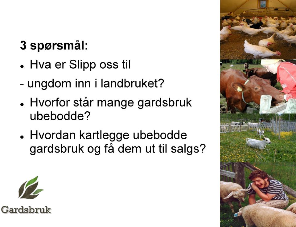 Hvorfor står mange gardsbruk ubebodde?