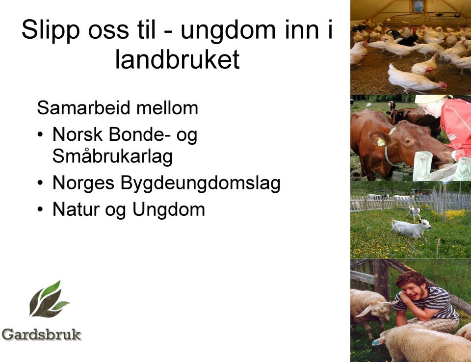 Norsk Bonde- og Småbrukarlag