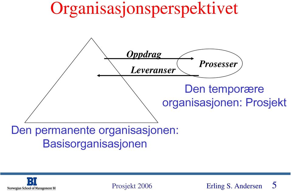 Basisorganisasjonen Prosesser Den