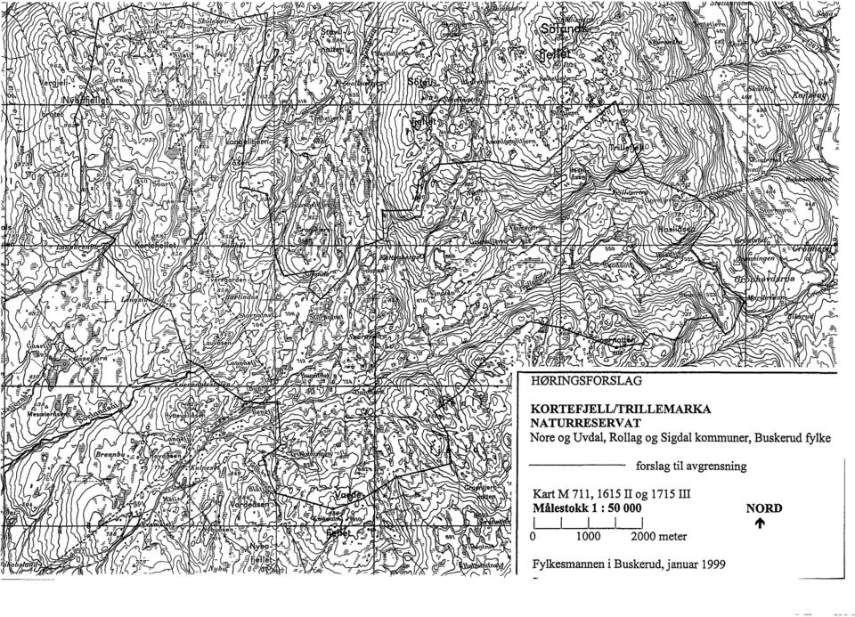 avgrensning Kart M 711, 1615 II og 1715 III Målestokk l: 50