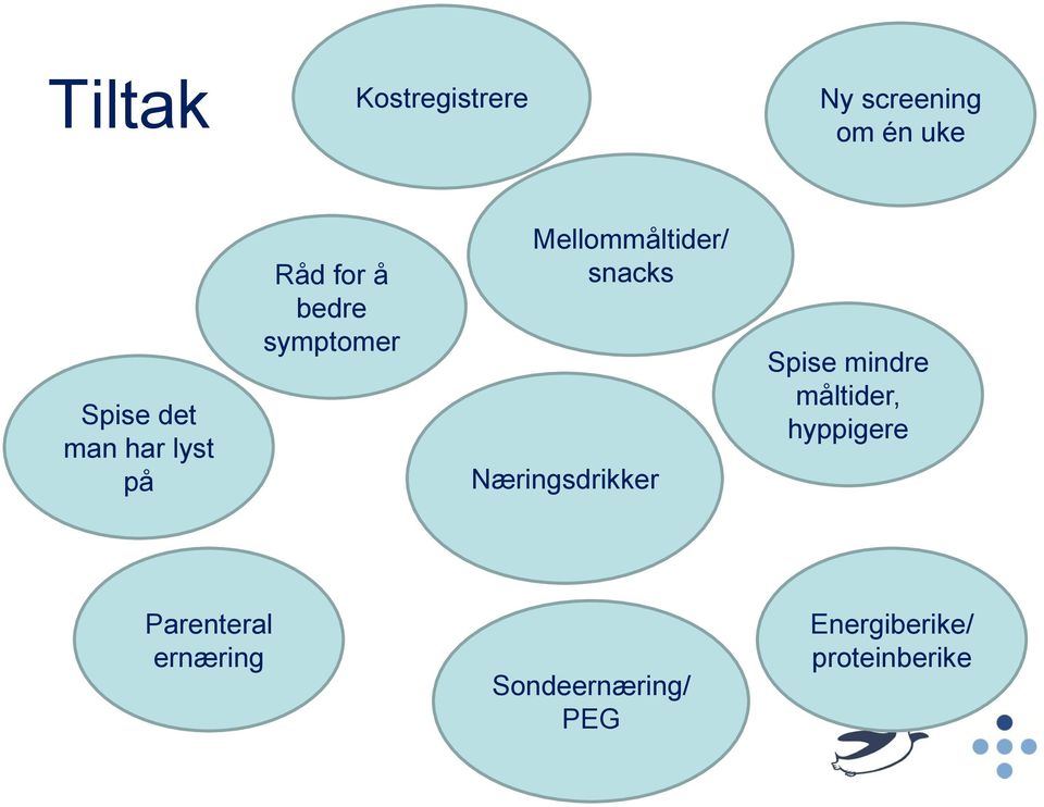 snacks Næringsdrikker Spise mindre måltider, hyppigere