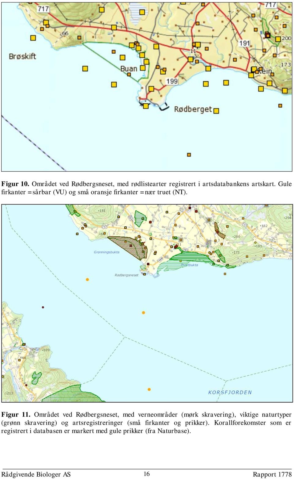 Området ved Rødbergsneset, med verneområder (mørk skravering), viktige naturtyper (grønn skravering) og