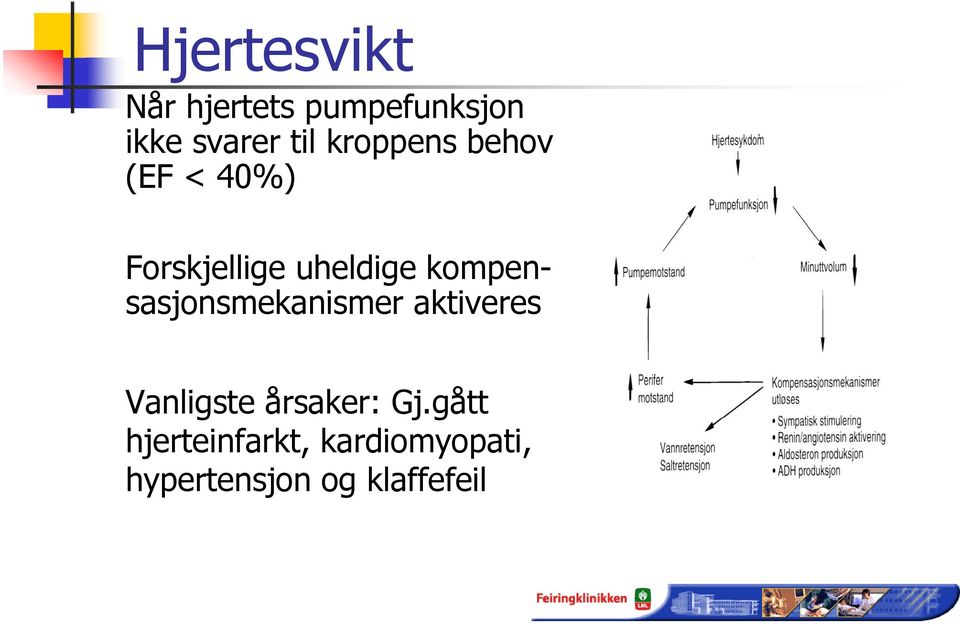 kompensasjonsmekanismer aktiveres Vanligste årsaker: