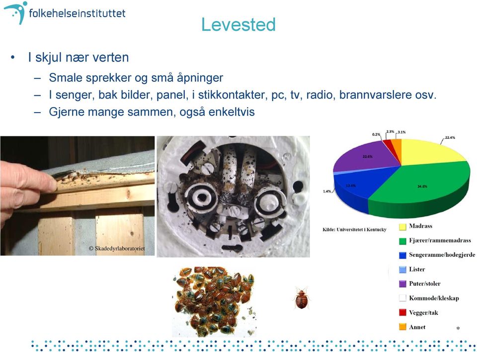 stikkontakter, pc, tv, radio, brannvarslere osv.