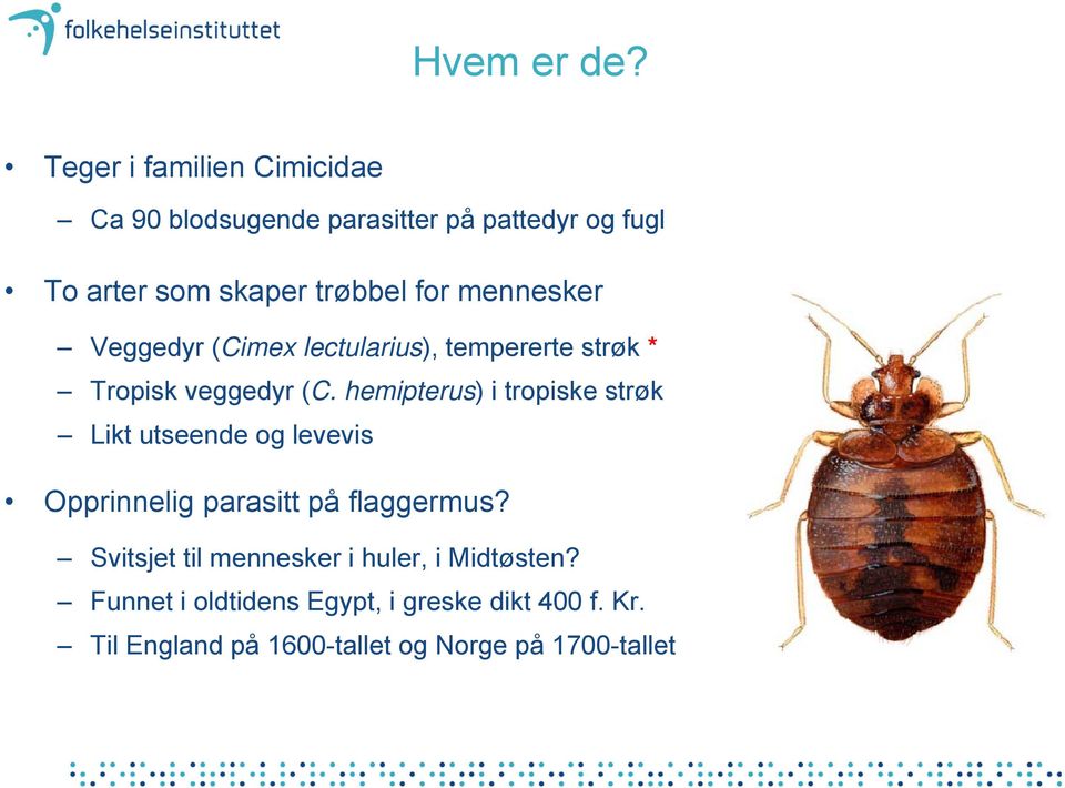 mennesker Veggedyr (Cimex lectularius), tempererte strøk * Tropisk veggedyr (C.