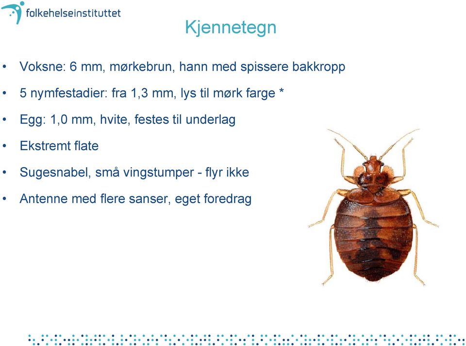 Egg: 1,0 mm, hvite, festes til underlag Ekstremt flate