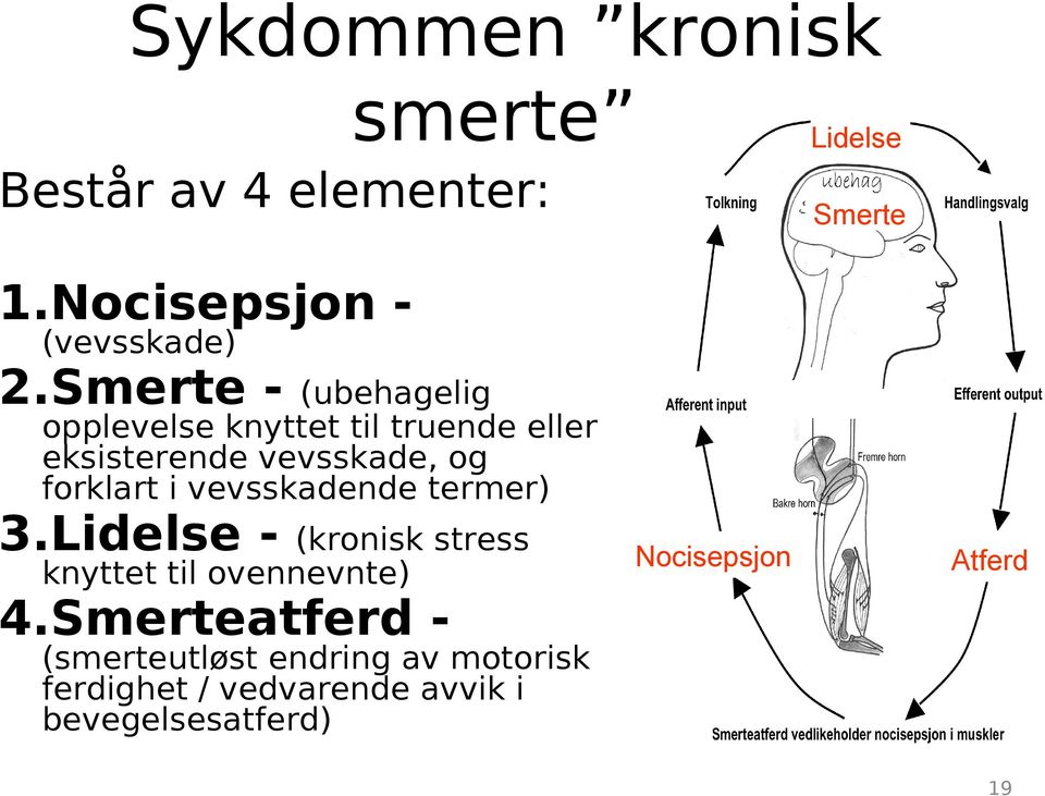 vevsskadende termer) 3.Lidelse - (kronisk stress knyttet til ovennevnte) Nocisepsjon Atferd 4.