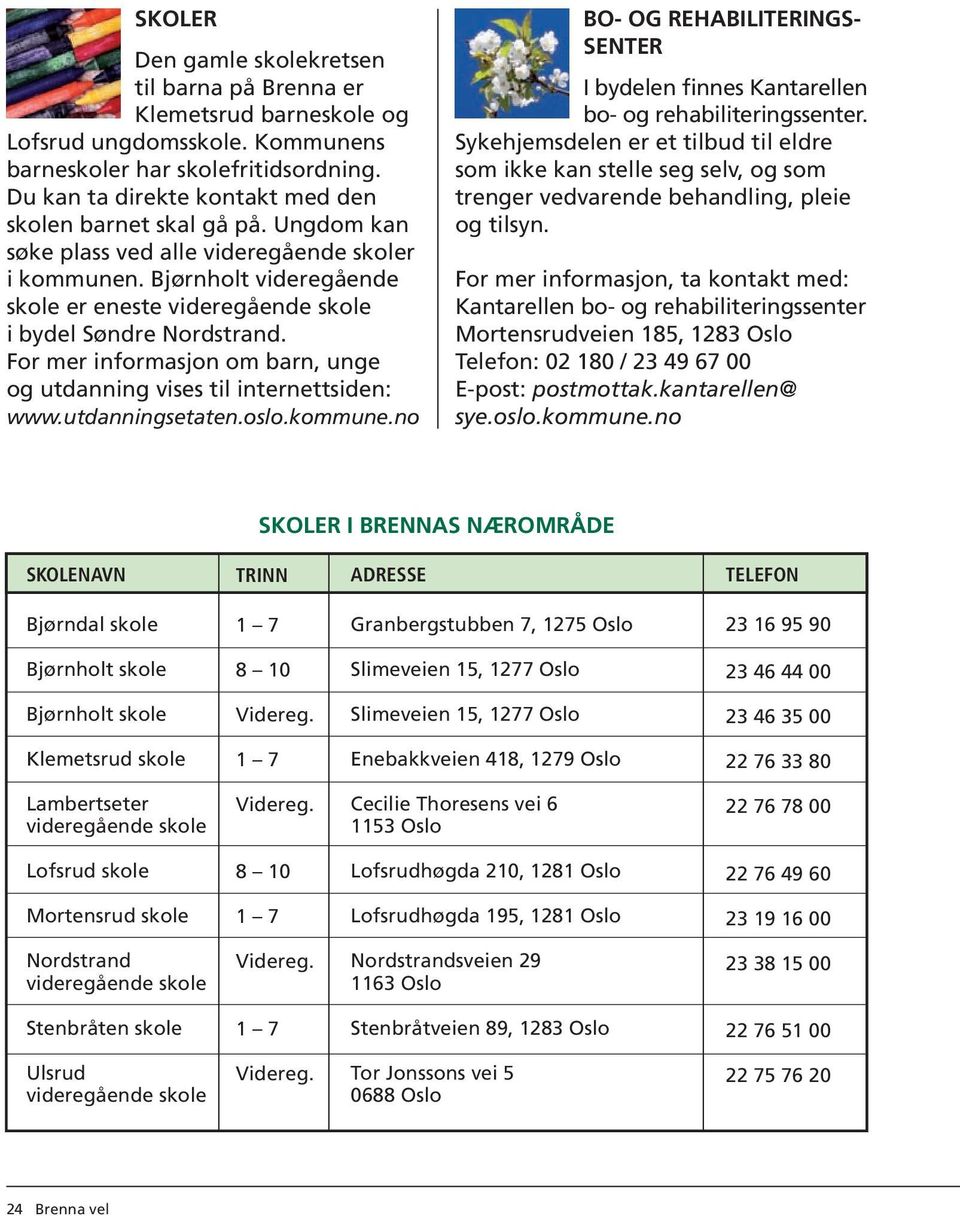 Bjørnholt videregående skole er eneste videregående skole i bydel Søndre Nordstrand. For mer informasjon om barn, unge og utdanning vises til internettsiden: www.utdanningsetaten.oslo.kommune.