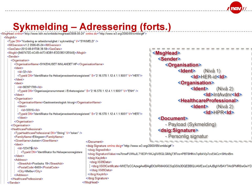 <Organisation> <Ident> (Nivå 2) <Id>IntAvdnr<Id> <HealthcareProfessional>