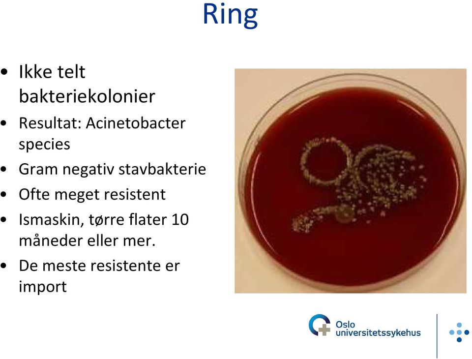 stavbakterie Ofte meget resistent Ismaskin,