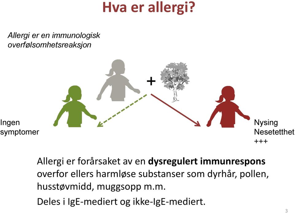 Nysing Nesetetthet +++ Allergi er forårsaket av en dysregulert