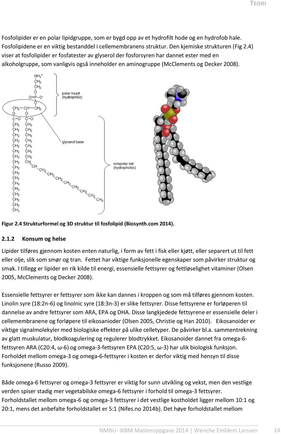 4 Strukturformel og 3D struktur til fosfolipid (Biosynth.com 2014