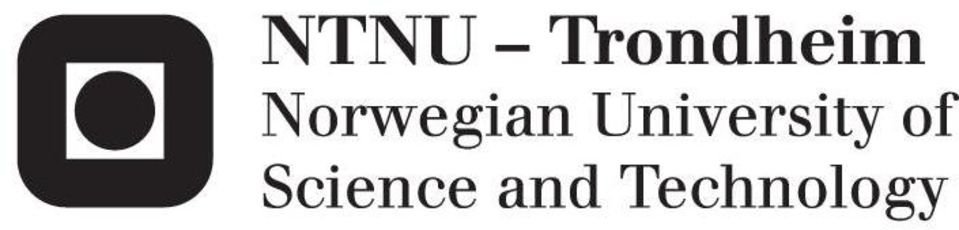 Submission date: June 2014 Supervisor: Arild Aspelund, IØT Co-supervisor: Rikke Platou, IØT