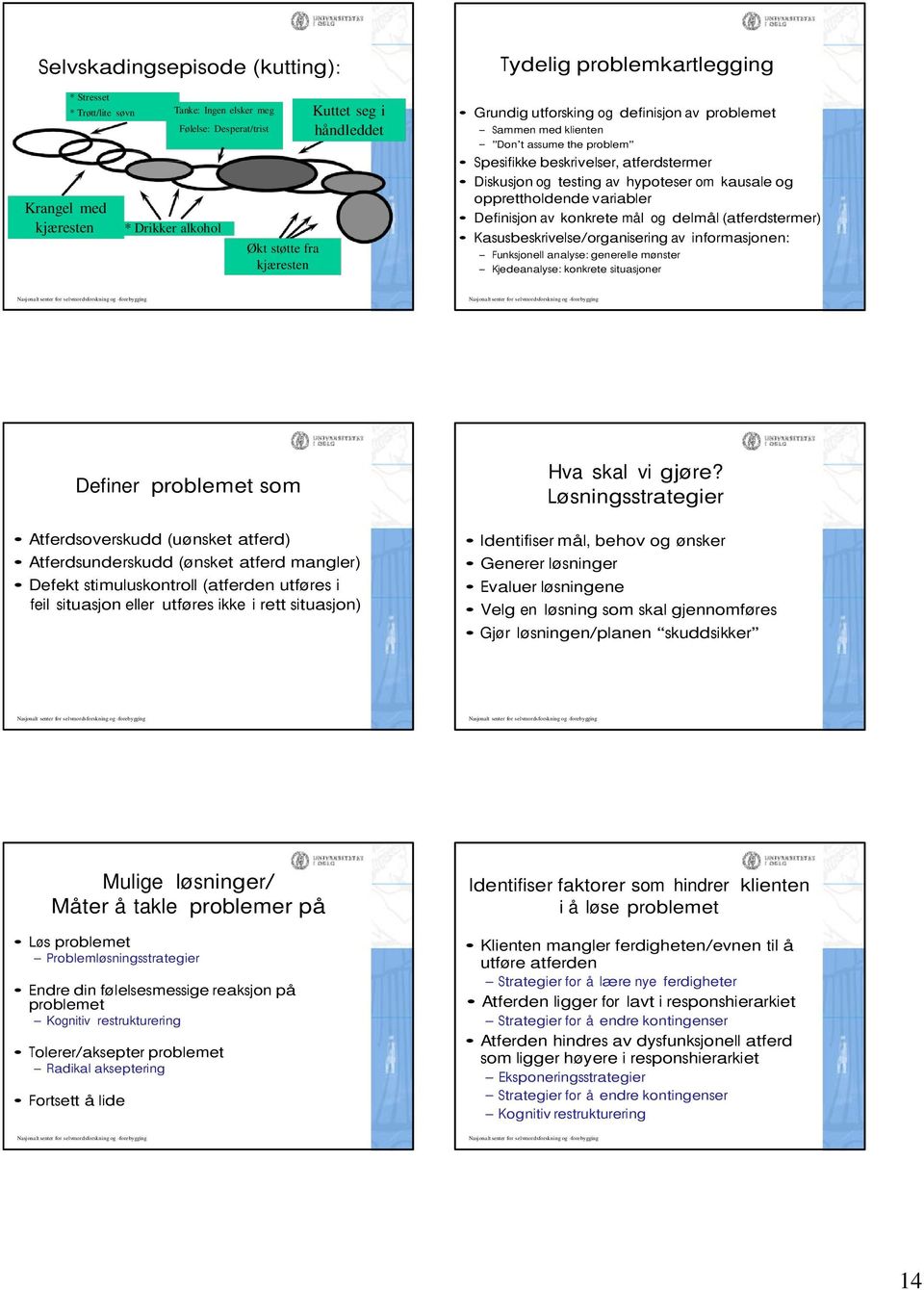 beskrivelser, atferdstermer Diskusjon og testing av hypoteser om kausale og opprettholdende variabler Definisjon av konkrete mål og delmål (atferdstermer) Kasusbeskrivelse/organisering av