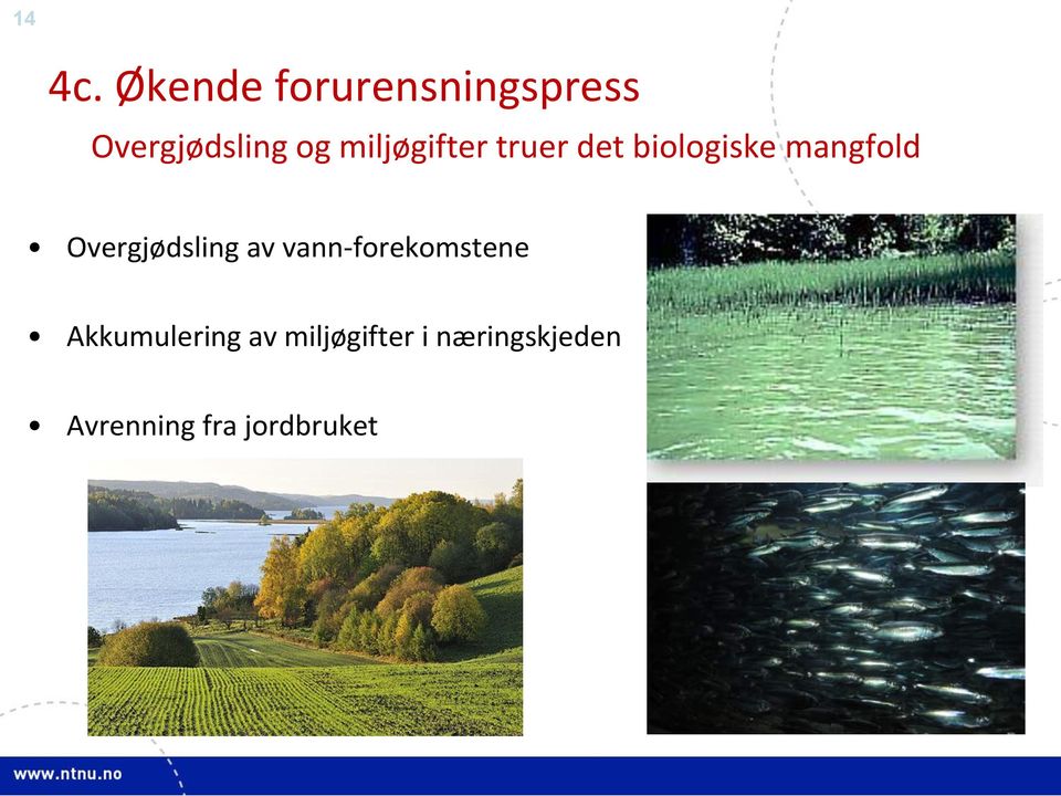 miljøgifter truer det biologiske mangfold