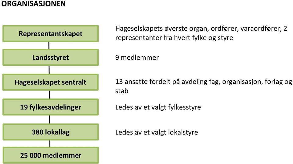 sentralt 19 fylkesavdelinger 13 ansatte fordelt på avdeling fag, organisasjon, forlag