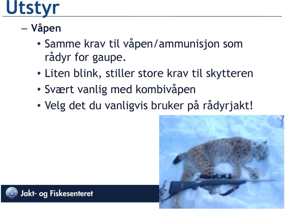 Liten blink, stiller store krav til skytteren