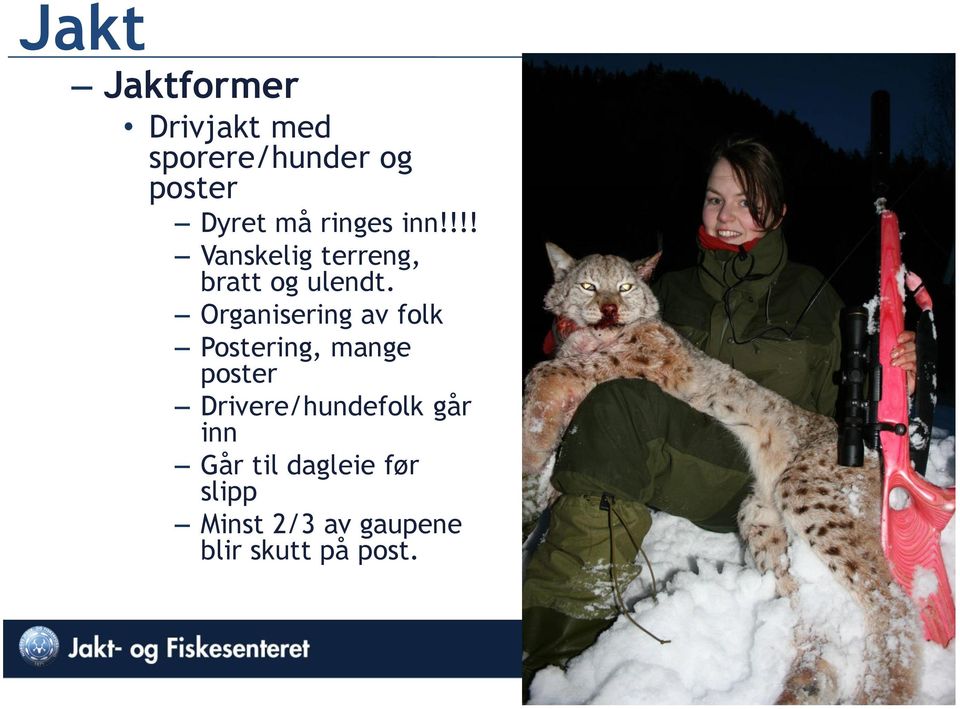 Organisering av folk Postering, mange poster Drivere/hundefolk