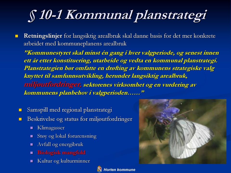 Planstrategien bør omfatte en drøfting av kommunens strategiske valg knyttet til samfunnsutvikling, herunder langsiktig arealbruk, miljøutfordringer, sektorenes virksomhet