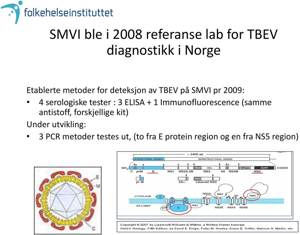 ELISA + 1 Immunofluorescence (samme antistoff, forskjellige kit) Under