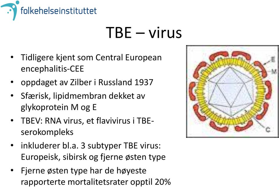 flavivirus i TBEserokompleks inkluderer bl.a. 3 subtyper TBE virus: Europeisk, sibirsk