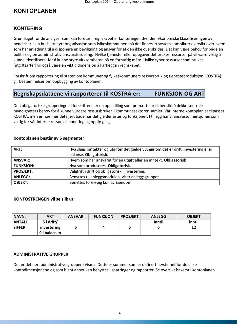 Det kan være behov for både en politisk og en administrativ ansvarsfordeling.