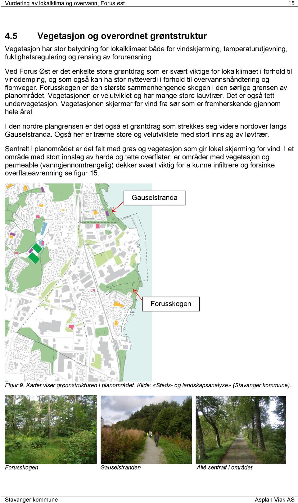 Ved Forus Øst er det enkelte store grøntdrag som er svært viktige for lokalklimaet i forhold til vinddemping, og som også kan ha stor nytteverdi i forhold til overvannshåndtering og flomveger.