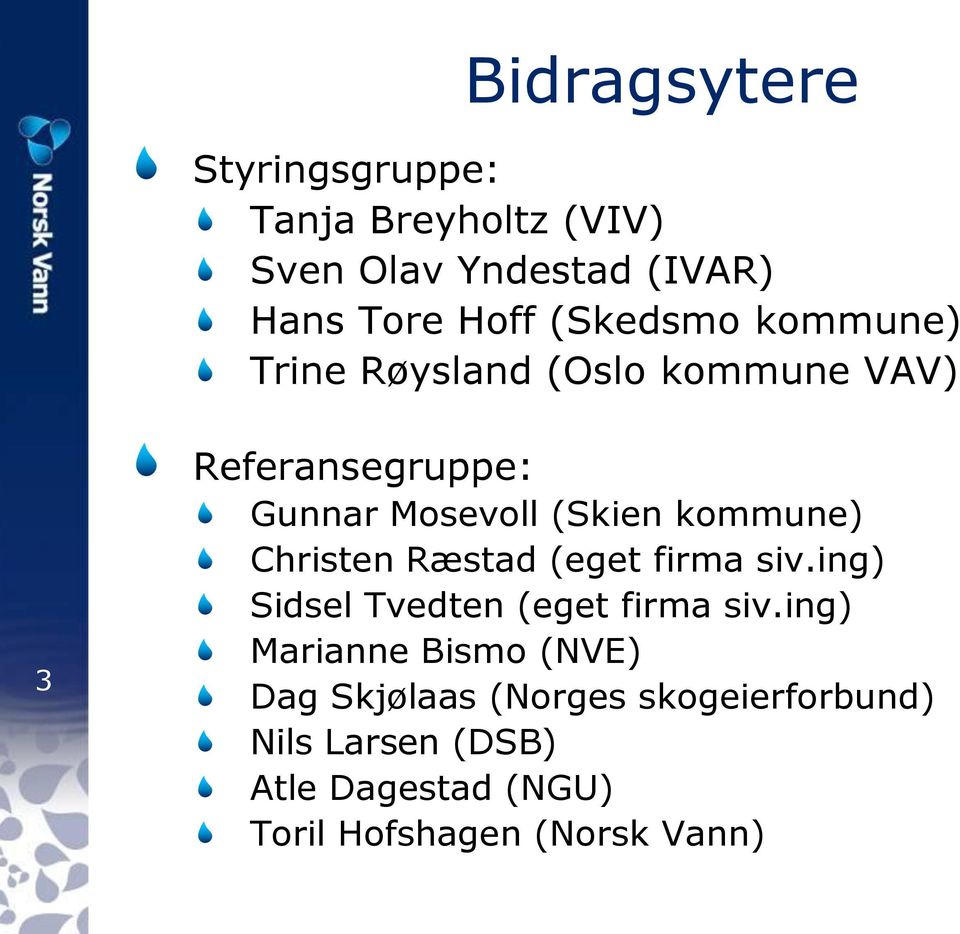 kommune) Christen Ræstad (eget firma siv.ing) Sidsel Tvedten (eget firma siv.