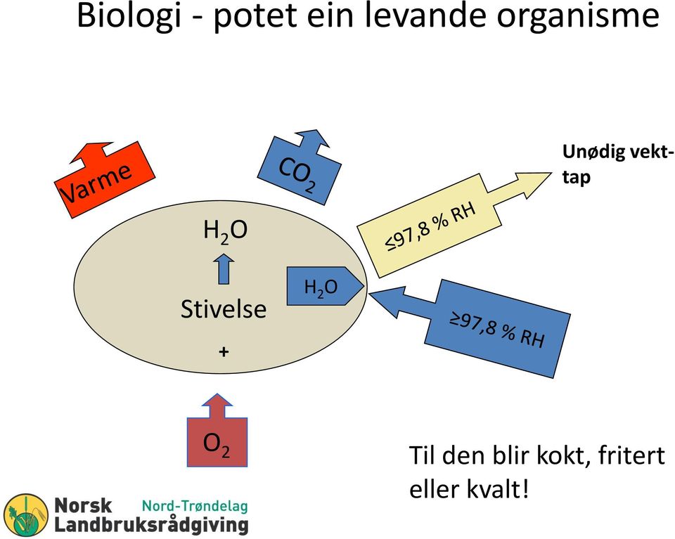 vekttap Stivelse + H 2 O O 2