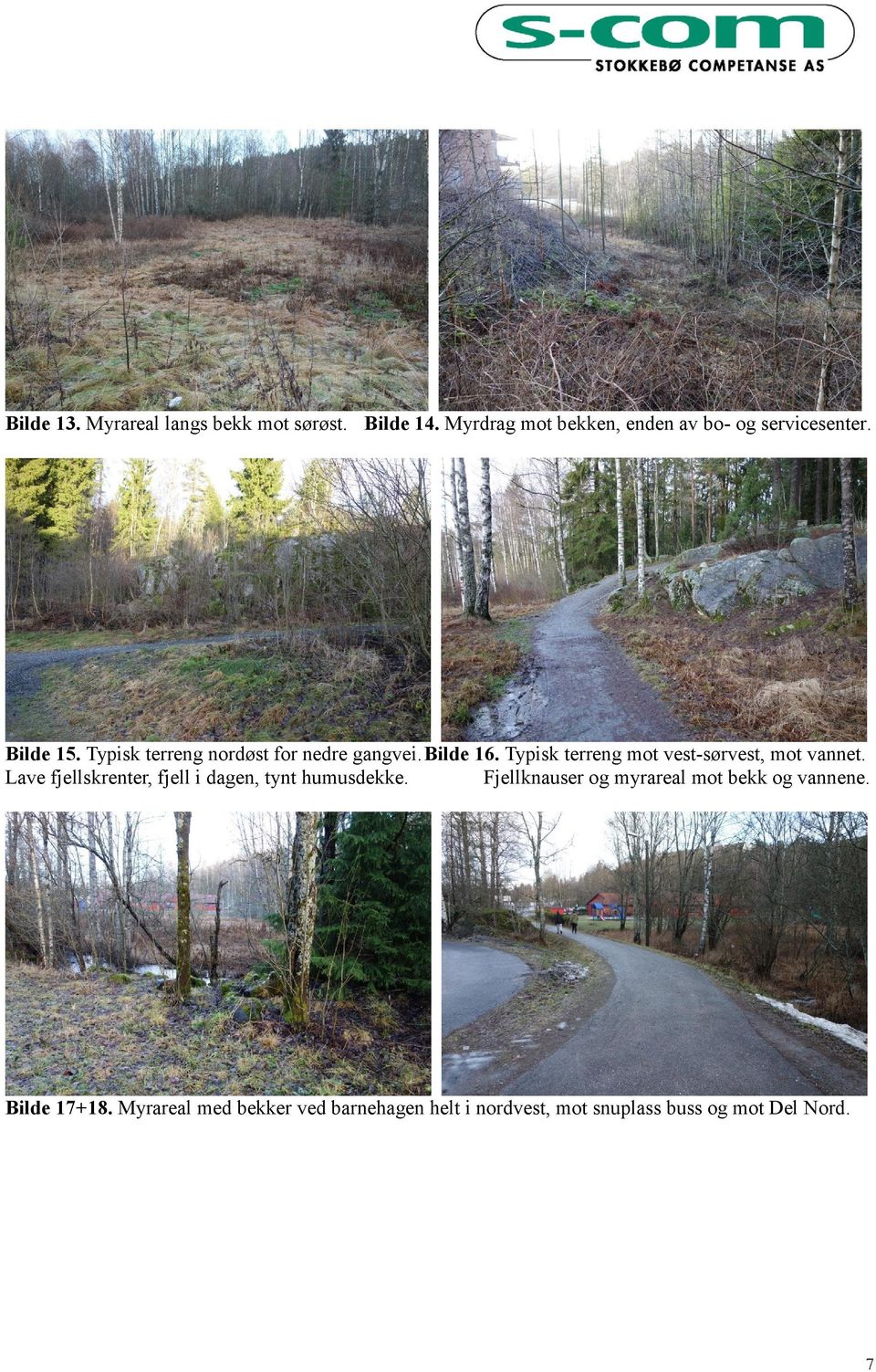 Typisk terreng mot vest-sørvest, mot vannet. Lave fjellskrenter, fjell i dagen, tynt humusdekke.