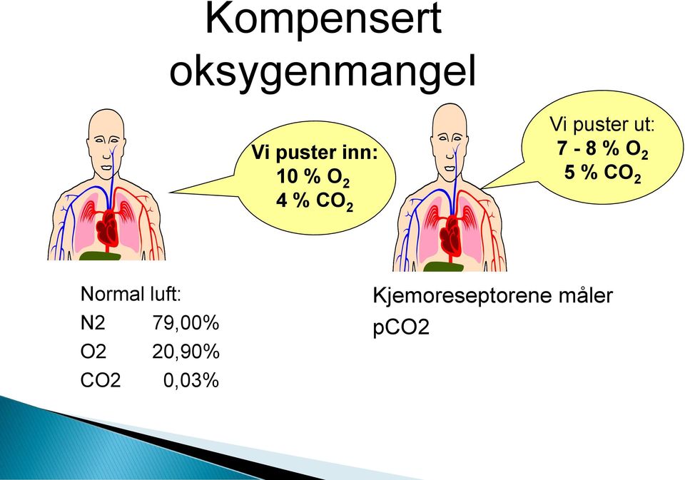 2 5 % CO 2 Normal luft: N2 79,00% O2