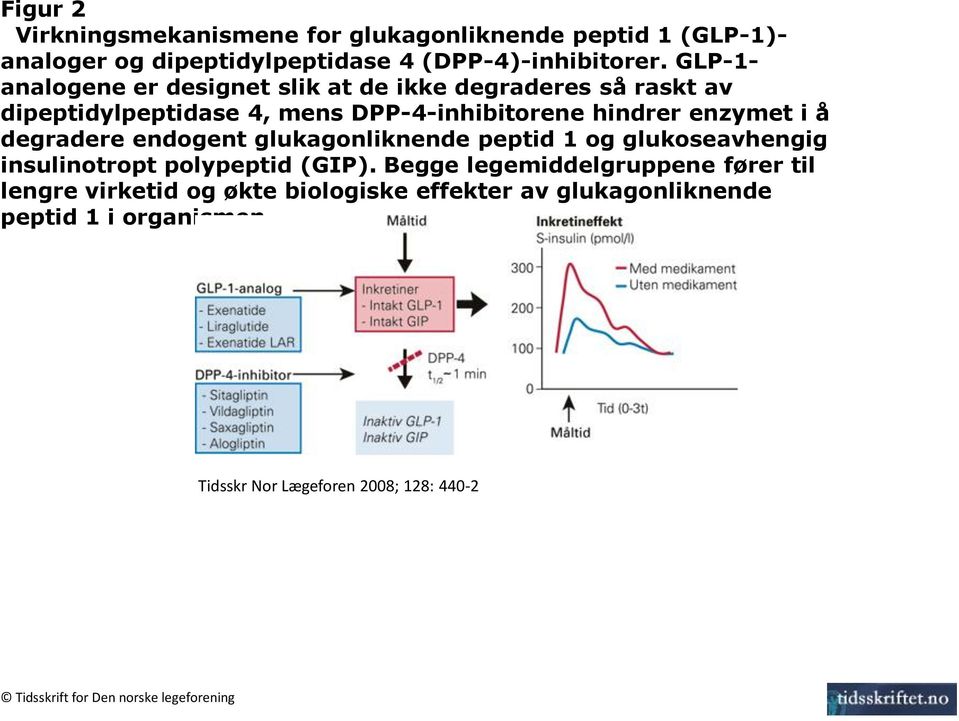 degradere endogent glukagonliknende peptid 1 og glukoseavhengig insulinotropt polypeptid (GIP).