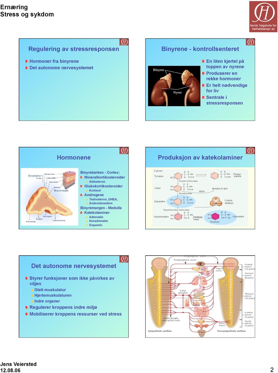 Kortisol Androgene Testosteron, DHEA, Androstenedion Binyremargen - Medulla Katekolaminer Adrenalin Noradrenalin Dopamin Det autonome nervesystemet Styrer funksjoner som ikke