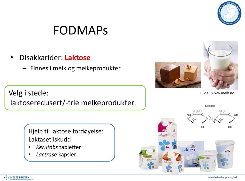 melkeprodukter. Bilde: www.melk.no Hjelp til laktose