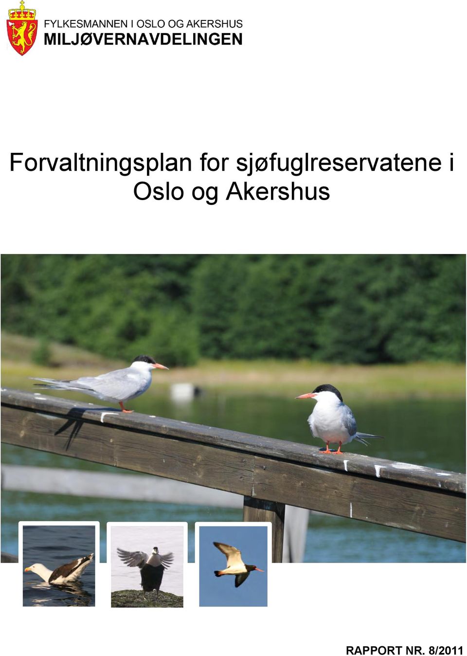 sjøfuglreservatene