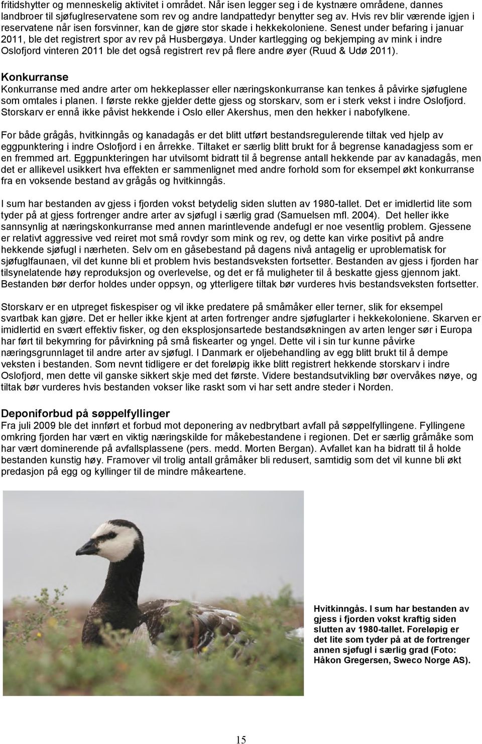 Under kartlegging og bekjemping av mink i indre Oslofjord vinteren 2011 ble det også registrert rev på flere andre øyer (Ruud & Udø 2011).