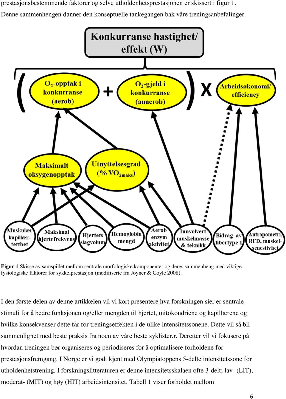 I den første delen av denne artikkelen vil vi kort presentere hva forskningen sier er sentrale stimuli for å bedre funksjonen og/eller mengden til hjertet, mitokondriene og kapillærene og hvilke