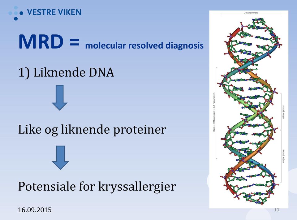 og liknende proteiner