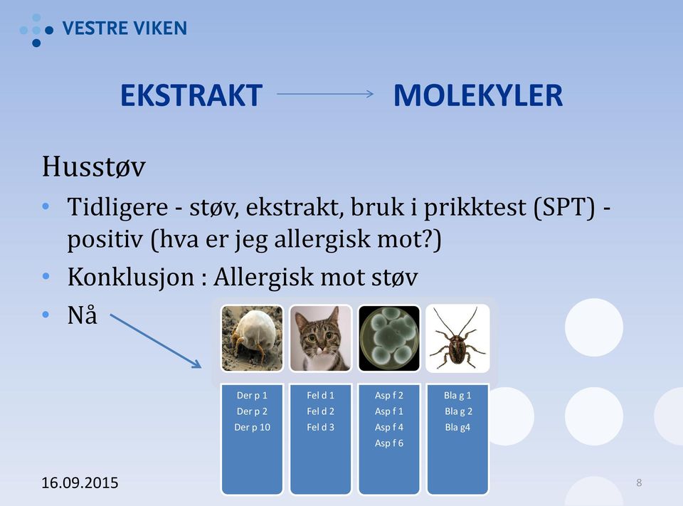 ) Konklusjon : Allergisk mot støv Nå Der p 1 Fel d 1 Asp f 2 Bla g