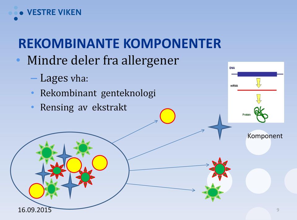 Rekombinant genteknologi Rensing